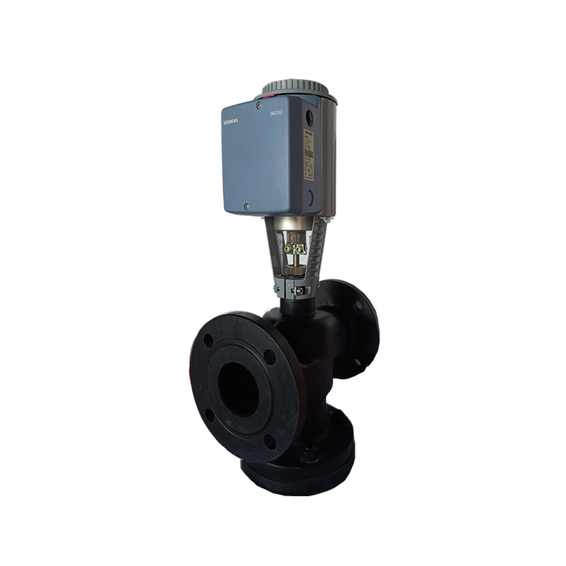 Electronic Steam Valve